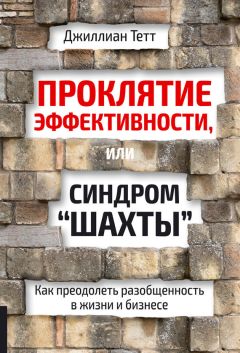 Джиллиан Тетт - Проклятие эффективности, или Синдром «шахты». Как преодолеть разобщенность в жизни и бизнесе - Читать 📖 Читать онлайн 👀 Читаемые книги читать онлайн бесплатно 🔥 booksread-online.com