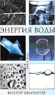 Виктор Шаубергер - Энергия воды - Читать | Читать онлайн | Читаемые книги читать онлайн бесплатно | booksread-online.com
