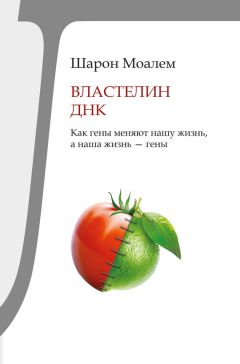 Шарон Моалем - Властелин ДНК. Как гены меняют нашу жизнь, а наша жизнь – гены - Читать 📖 Читать онлайн 👀 Читаемые книги читать онлайн бесплатно 🔥 booksread-online.com