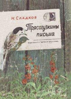 Николай Сладков - Трясогузкины письма - Читать 📖 Читать онлайн 👀 Читаемые книги читать онлайн бесплатно 🔥 booksread-online.com