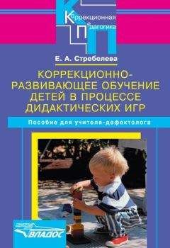 Елена Стребелева - Коррекционно-развивающее обучение детей в процессе дидактических игр - Читать 📖 Читать онлайн 👀 Читаемые книги читать онлайн бесплатно 🔥 booksread-online.com