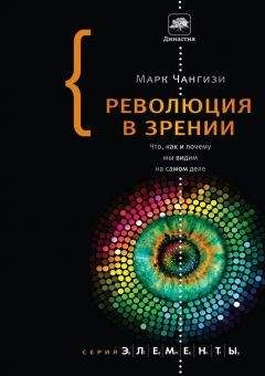 Марк Чангизи - Революция в зрении: Что, как и почему мы видим на самом деле - Читать 📖 Читать онлайн 👀 Читаемые книги читать онлайн бесплатно 🔥 booksread-online.com