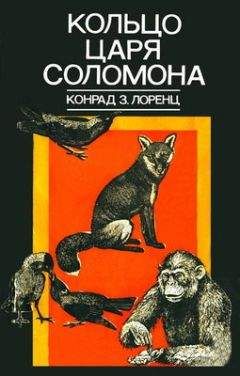Конрад Лоренц - Кольцо царя Соломона - Читать 📖 Читать онлайн 👀 Читаемые книги читать онлайн бесплатно 🔥 booksread-online.com