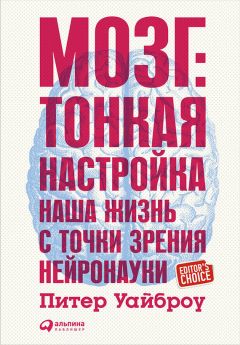 Питер Уайброу - Мозг: Тонкая настройка. Наша жизнь с точки зрения нейронауки - Читать 📖 Читать онлайн 👀 Читаемые книги читать онлайн бесплатно 🔥 booksread-online.com
