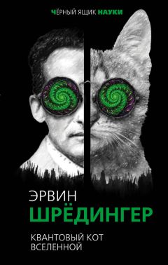 Эрвин Шредингер - Квантовый кот вселенной - Читать | Читать онлайн | Читаемые книги читать онлайн бесплатно | booksread-online.com