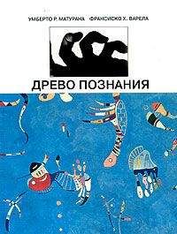 Умберто Матурана - Древо познания - Читать 📖 Читать онлайн 👀 Читаемые книги читать онлайн бесплатно 🔥 booksread-online.com
