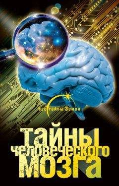 Александр Попов - Тайны человеческого мозга - Читать 📖 Читать онлайн 👀 Читаемые книги читать онлайн бесплатно 🔥 booksread-online.com