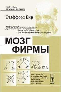Стаффорд Бир - Мозг фирмы - Читать 📖 Читать онлайн 👀 Читаемые книги читать онлайн бесплатно 🔥 booksread-online.com