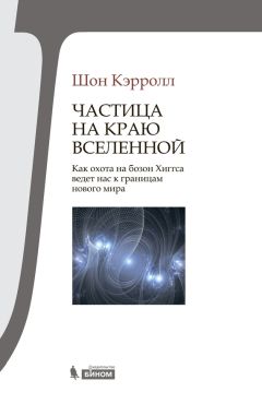 Шон Кэрролл - Частица на краю Вселенной. Как охота на бозон Хиггса ведет нас к границам нового мира - Читать 📖 Читать онлайн 👀 Читаемые книги читать онлайн бесплатно 🔥 booksread-online.com