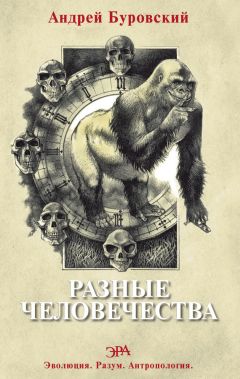 Андрей Буровский - Разные человечества - Читать 📖 Читать онлайн 👀 Читаемые книги читать онлайн бесплатно 🔥 booksread-online.com