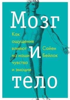 Сайен Бейлок - Мозг и тело. Как ощущения влияют на наши чувства и эмоции - Читать 📖 Читать онлайн 👀 Читаемые книги читать онлайн бесплатно 🔥 booksread-online.com