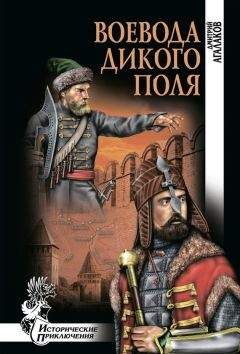 Дмитрий Агалаков - Воевода Дикого поля - Читать | Читать онлайн | Читаемые книги читать онлайн бесплатно | booksread-online.com