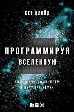 Сет Ллойд - Программируя Вселенную. Квантовый компьютер и будущее науки - Читать | Читать онлайн | Читаемые книги читать онлайн бесплатно | booksread-online.com