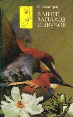 Сергей Рязанцев - В мире запахов и звуков - Читать | Читать онлайн | Читаемые книги читать онлайн бесплатно | booksread-online.com