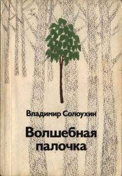Владимир Солоухин - Волшебная палочка - Читать 📖 Читать онлайн 👀 Читаемые книги читать онлайн бесплатно 🔥 booksread-online.com
