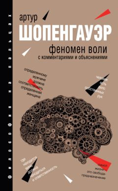 Артур Шопенгауэр - Феномен воли. С комментариями и объяснениями - Читать 📖 Читать онлайн 👀 Читаемые книги читать онлайн бесплатно 🔥 booksread-online.com