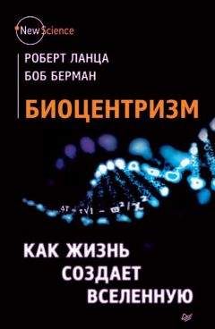 Боб Берман - Биоцентризм. Как жизнь создает Вселенную - Читать 📖 Читать онлайн 👀 Читаемые книги читать онлайн бесплатно 🔥 booksread-online.com