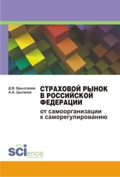 Денис Брызгалов - Страховой рынок в Российской Федерации. От самоорганизации к саморегулированию. Монография - Читать | Читать онлайн | Читаемые книги читать онлайн бесплатно | booksread-online.com