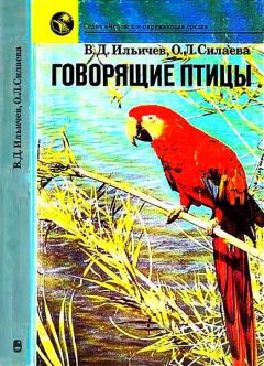 Валерий Ильичев - Говорящие птицы - Читать 📖 Читать онлайн 👀 Читаемые книги читать онлайн бесплатно 🔥 booksread-online.com