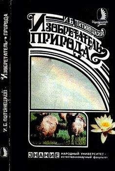 Изот Литинецкий - Изобретатель - природа - Читать 📖 Читать онлайн 👀 Читаемые книги читать онлайн бесплатно 🔥 booksread-online.com
