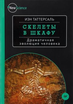 Иэн Таттерсаль - Скелеты в шкафу. Драматичная эволюция человека - Читать 📖 Читать онлайн 👀 Читаемые книги читать онлайн бесплатно 🔥 booksread-online.com