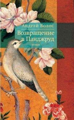 Андрей Волос - Возвращение в Панджруд - Читать 📖 Читать онлайн 👀 Читаемые книги читать онлайн бесплатно 🔥 booksread-online.com