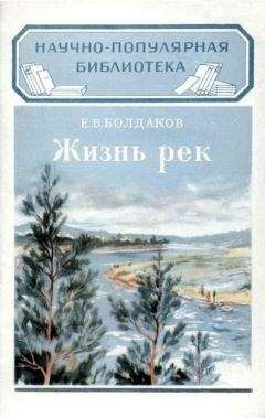 Е. Болдаков - Жизнь рек - Читать 📖 Читать онлайн 👀 Читаемые книги читать онлайн бесплатно 🔥 booksread-online.com