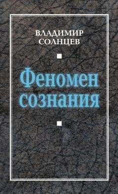 Владимир Солнцев - Феномен сознания - Читать | Читать онлайн | Читаемые книги читать онлайн бесплатно | booksread-online.com
