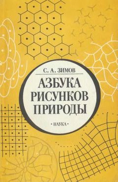 Сергей Зимов - Азбука рисунков природы - Читать 📖 Читать онлайн 👀 Читаемые книги читать онлайн бесплатно 🔥 booksread-online.com