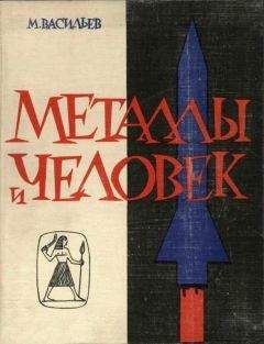 Михаил Васильев - Металлы и человек - Читать 📖 Читать онлайн 👀 Читаемые книги читать онлайн бесплатно 🔥 booksread-online.com
