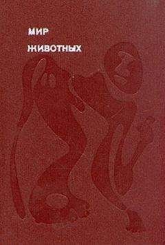 Игорь Акимушкин - Мир животных. Том 2 - Читать 📖 Читать онлайн 👀 Читаемые книги читать онлайн бесплатно 🔥 booksread-online.com