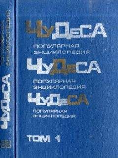 Владимир Мезенцев - Чудеса: Популярная энциклопедия. Том 1 - Читать | Читать онлайн | Читаемые книги читать онлайн бесплатно | booksread-online.com