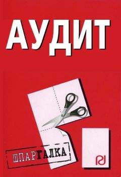Коллектив авторов - Аудит: Шпаргалка - Читать 📖 Читать онлайн 👀 Читаемые книги читать онлайн бесплатно 🔥 booksread-online.com
