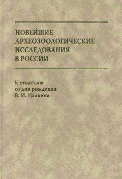 Е. Антипина - Новейшие археозоологические исследования в России: К столетию со дня рождения В.И. Цалкина - Читать 📖 Читать онлайн 👀 Читаемые книги читать онлайн бесплатно 🔥 booksread-online.com