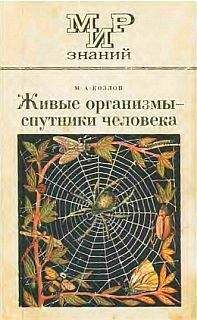 М. Козлов - Живые организмы-спутники человека - Читать 📖 Читать онлайн 👀 Читаемые книги читать онлайн бесплатно 🔥 booksread-online.com
