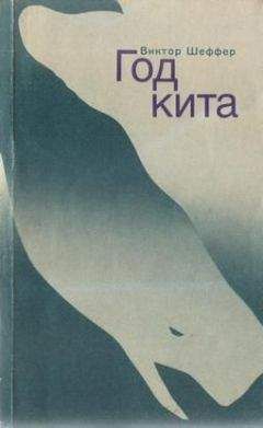 Виктор Шеффер - Год Кита - Читать | Читать онлайн | Читаемые книги читать онлайн бесплатно | booksread-online.com