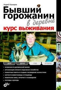 А. Кашкаров - Бывший горожанин в деревне. Курс выживания - Читать | Читать онлайн | Читаемые книги читать онлайн бесплатно | booksread-online.com