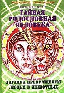 Александр Белов - Тайная родословная человека: загадка превращения людей в животных - Читать 📖 Читать онлайн 👀 Читаемые книги читать онлайн бесплатно 🔥 booksread-online.com