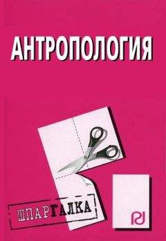 Коллектив авторов - Антропология: Шпаргалка - Читать 📖 Читать онлайн 👀 Читаемые книги читать онлайн бесплатно 🔥 booksread-online.com