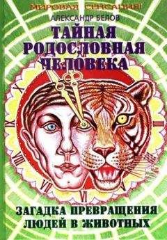 Александр Белов - Тайная родословная человека. Загадка превращения людей в животных - Читать 📖 Читать онлайн 👀 Читаемые книги читать онлайн бесплатно 🔥 booksread-online.com