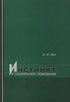 Абрам Фет - Инстинкт и социальное поведение - Читать 📖 Читать онлайн 👀 Читаемые книги читать онлайн бесплатно 🔥 booksread-online.com