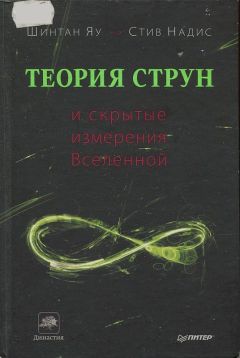 Шинтан Яу - Теория струн и скрытые измерения Вселенной - Читать | Читать онлайн | Читаемые книги читать онлайн бесплатно | booksread-online.com