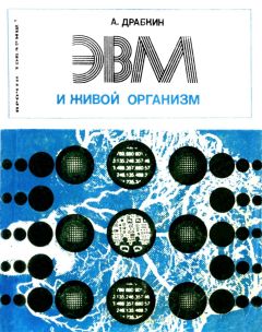 Александр Драбкин - ЭВМ и живой организм - Читать 📖 Читать онлайн 👀 Читаемые книги читать онлайн бесплатно 🔥 booksread-online.com