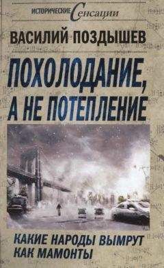Василий Поздышев - Похолодание, а не потепление - Читать 📖 Читать онлайн 👀 Читаемые книги читать онлайн бесплатно 🔥 booksread-online.com