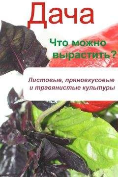 Илья Мельников - Что можно вырастить? Листовые, пряновкусовые и травянистые культуры - Читать | Читать онлайн | Читаемые книги читать онлайн бесплатно | booksread-online.com
