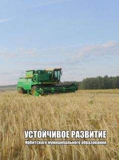 Александр Камянчук - УСТОЙЧИВОЕ РАЗВИТИЕ ИРБИТСКОГО МУНИЦИПАЛЬНОГО ОБРАЗОВАНИЯ Часть вторая - Читать 📖 Читать онлайн 👀 Читаемые книги читать онлайн бесплатно 🔥 booksread-online.com