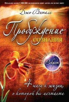 Джо Витале - Пробуждение сознания. 4 шага к жизни, о которой вы мечтаете - Читать 📖 Читать онлайн 👀 Читаемые книги читать онлайн бесплатно 🔥 booksread-online.com