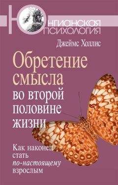 Джеймс Холлис - Обретение смысла во второй половине жизни. Как наконец стать по-настоящему взрослым - Читать 📖 Читать онлайн 👀 Читаемые книги читать онлайн бесплатно 🔥 booksread-online.com