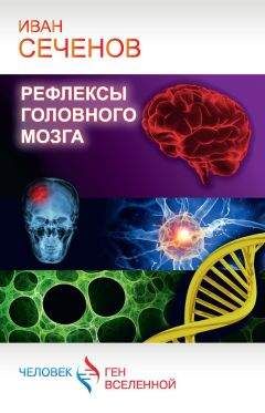 Иван Сеченов - Рефлексы головного мозга - Читать | Читать онлайн | Читаемые книги читать онлайн бесплатно | booksread-online.com