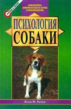 Леон Уитни - Психология собаки. Основы дрессировки собак - Читать | Читать онлайн | Читаемые книги читать онлайн бесплатно | booksread-online.com